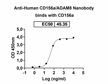 CD156a/ADAM8 Camelus Monoclonal Antibody