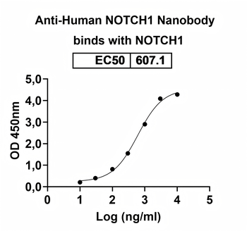 NOTCH1 Camelus Monoclonal Antibody