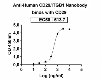 CD29/ITGB1 Camelus Monoclonal Antibody