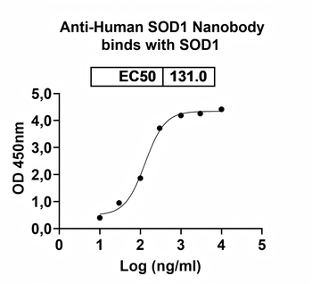 SOD1 Camelus Monoclonal Antibody