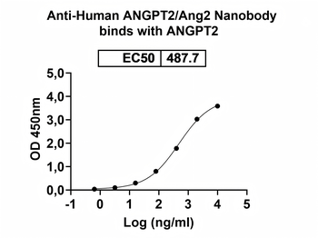 ANGPT2/Ang2 Camelus Monoclonal Antibody