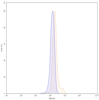 BAX Mouse Monoclonal Antibody