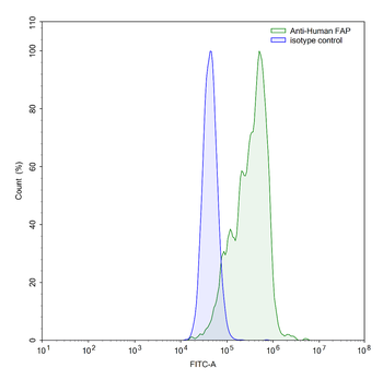 FAP Human Monoclonal Antibody