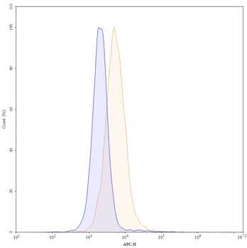 CX3CL1/Fractalkine Human Monoclonal Antibody