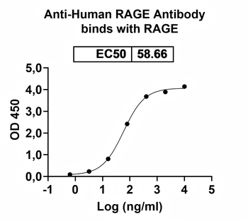 RAGE Human Monoclonal Antibody