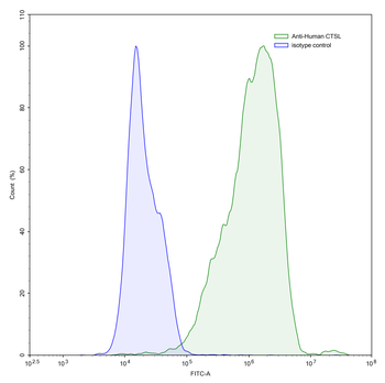 CTSL Mouse Monoclonal Antibody
