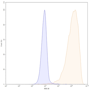 SSTR2/SRIF-1 Mouse Monoclonal Antibody