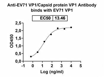 Recombinant EV71 VP1/Capsid protein VP1 Protein, N-His