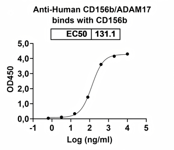 Recombinant Human CD156b/ADAM17 Protein, N-His