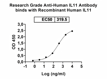 Recombinant Human IL11 Protein, N-His