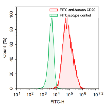 CD20/MS4A1 Human Monoclonal Antibody (FITC)