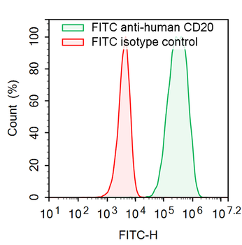 CD20/MS4A1 Human Monoclonal Antibody (FITC)