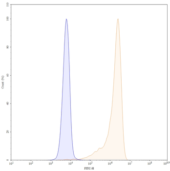 CD27 Human Monoclonal Antibody