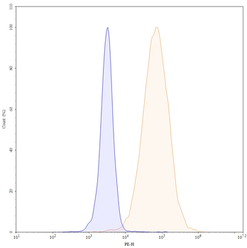 MICA Human Monoclonal Antibody (PE)