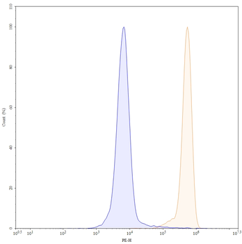 CD147/BSG Human Monoclonal Antibody (PE)