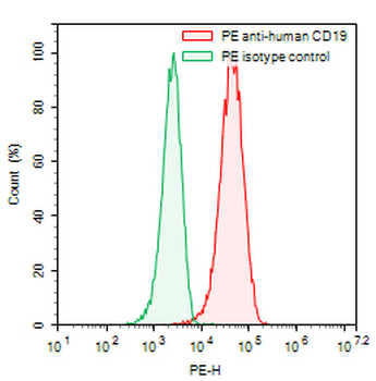 CD19 Human Monoclonal Antibody (PE)