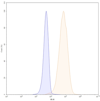 FOLR1 Human Monoclonal Antibody (PE)