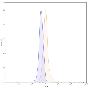 BMP2 Mouse Monoclonal Antibody (PE)