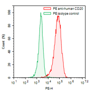CD20/MS4A1 Mouse Monoclonal Antibody (PE)