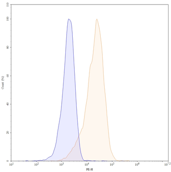 CD90/THY1 Mouse Monoclonal Antibody (PE)