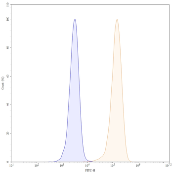 CD93/C1qR Mouse Monoclonal Antibody (FITC)