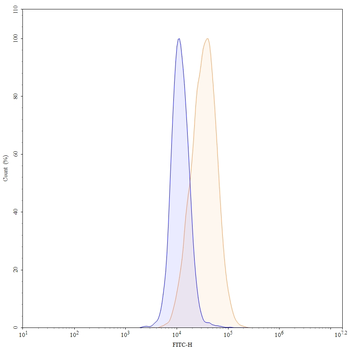 CD266/TNFRSF12A Human Monoclonal Antibody (FITC)