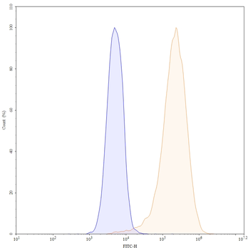 CD272/BTLA Human Monoclonal Antibody (FITC)