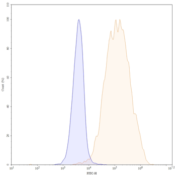 ROR2/NTRKR2 Mouse Monoclonal Antibody (FITC)