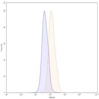 CD66b/CEACAM8 Mouse Monoclonal Antibody (FITC)