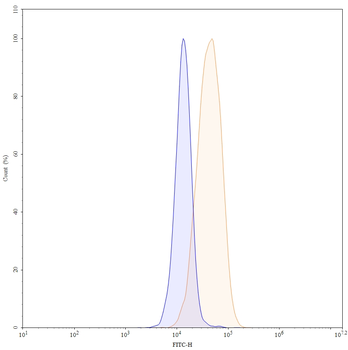 FOLR1 Human Monoclonal Antibody (FITC)