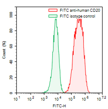 CD20/MS4A1 Mouse Monoclonal Antibody (FITC)
