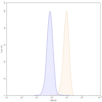 CD37/TSPAN26 Human Monoclonal Antibody (FITC)
