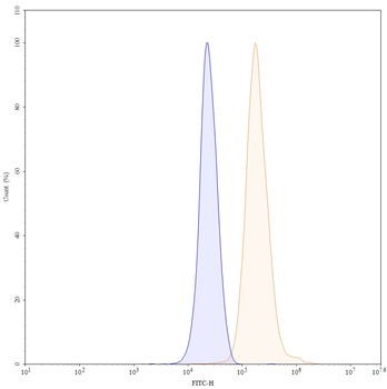 MAPT/Tau/PHF-tau Human Monoclonal Antibody (FITC)