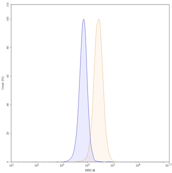 CD71/TFRC Mouse Monoclonal Antibody (FITC)