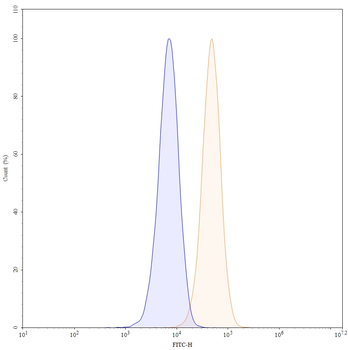 CD71/TFRC Human Monoclonal Antibody (FITC)