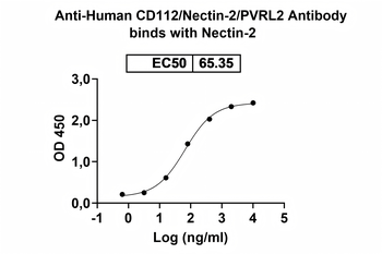 CD112/Nectin-2/PVRL2 Mouse Monoclonal Antibody