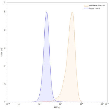 STEAP2 Mouse Monoclonal Antibody