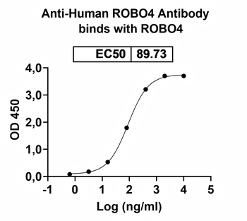 ROBO4 Mouse Monoclonal Antibody