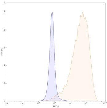CLDN6 Human Monoclonal Antibody