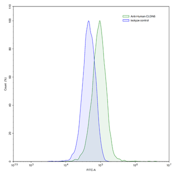 CLDN6 Human Monoclonal Antibody