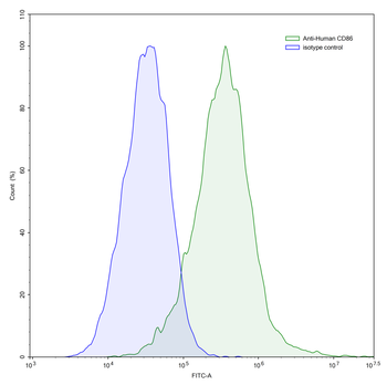 CD86/B7-2 Mouse Monoclonal Antibody