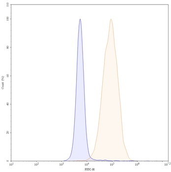 CD71/TFRC Mouse Monoclonal Antibody