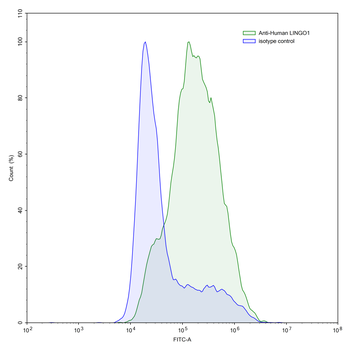 LINGO1 Human Monoclonal Antibody