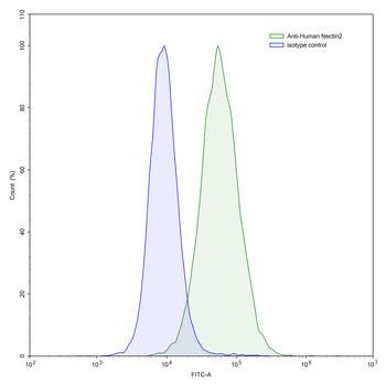 CD112/Nectin-2/PVRL2 Mouse Monoclonal Antibody