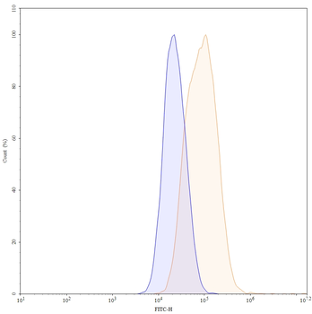 CD71/TFRC Human Monoclonal Antibody