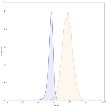 CD66b/CEACAM8 Mouse Monoclonal Antibody