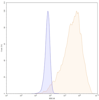 CD47/MER6 Mouse Monoclonal Antibody