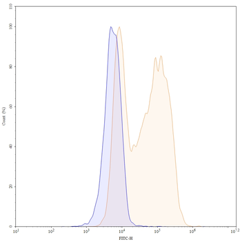 CD44 Human Monoclonal Antibody