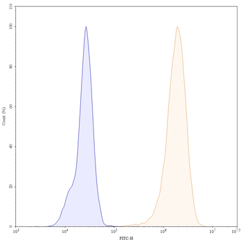 CD340/ERBB2/HER2 Human Monoclonal Antibody