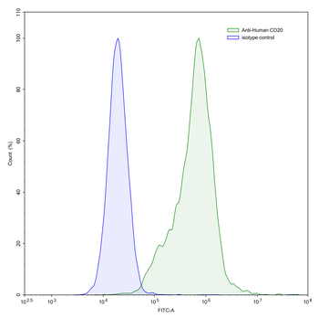 CD20/MS4A1 Mouse Monoclonal Antibody